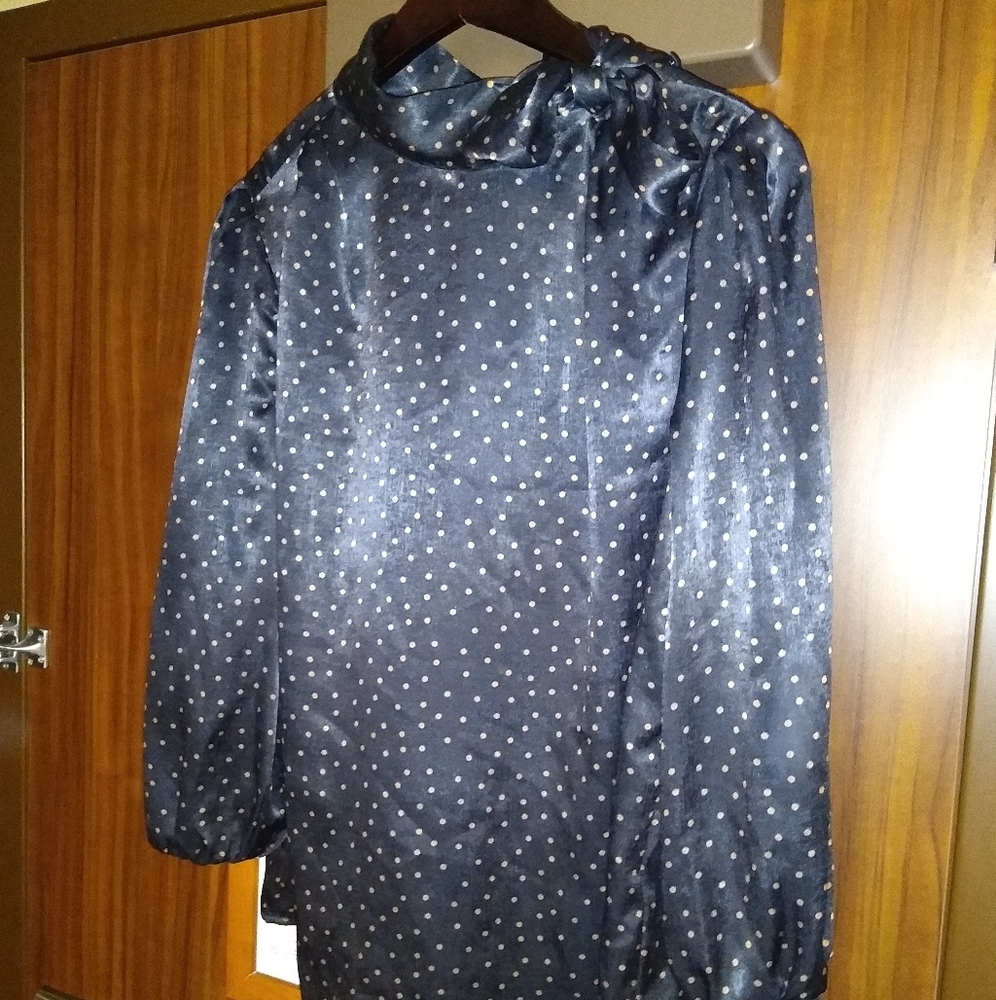 Satin Shirt